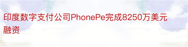 印度数字支付公司PhonePe完成8250万美元融资