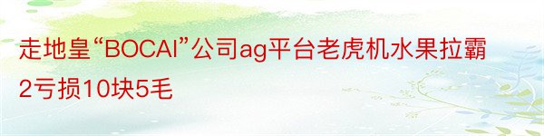 走地皇“BOCAI”公司ag平台老虎机水果拉霸2亏损10块5毛