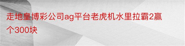 走地皇博彩公司ag平台老虎机水里拉霸2赢个300块