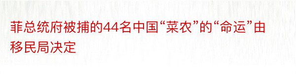 菲总统府被捕的44名中国“菜农”的“命运”由移民局决定